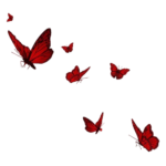 d5439c67f1ce51d97a86aeb64c1b0160 removebg preview