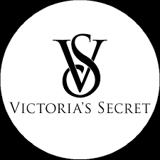 vs logo